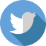 logo social-twitter